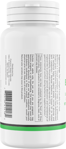 Premium Digestive Support (Save 20%)